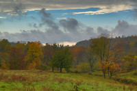 Fall Colors