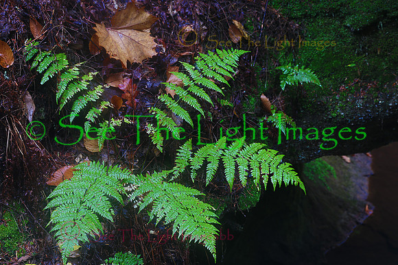 ©-5075