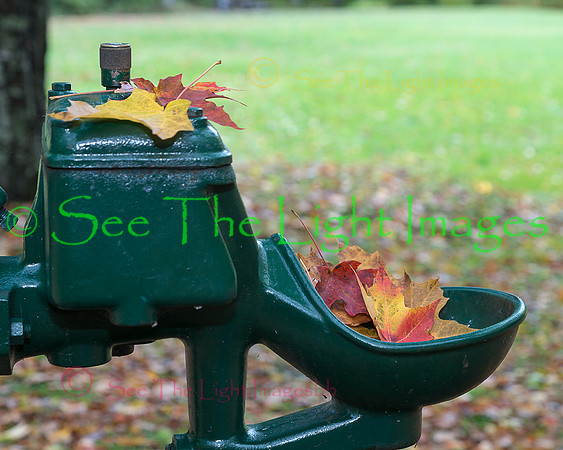 Water Fountain
