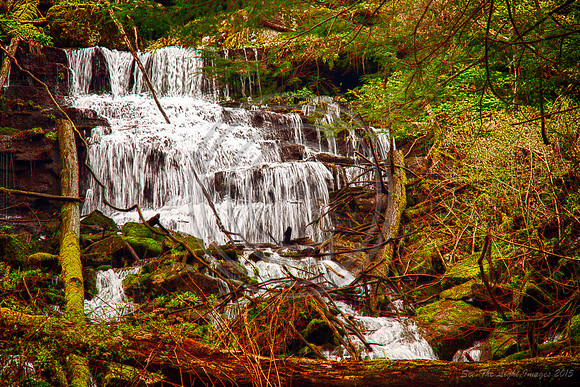 IMG_8653_HDR