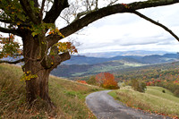 Fall Colors