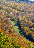 Fall Colors