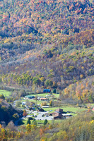 Fall Colors