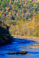 Fall Colors