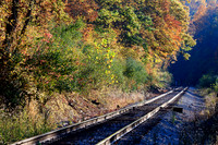 Fall Colors