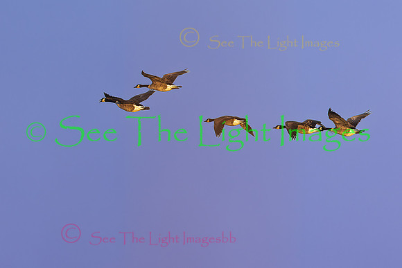 6330