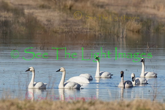 6789