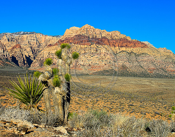 Rugged-7394
