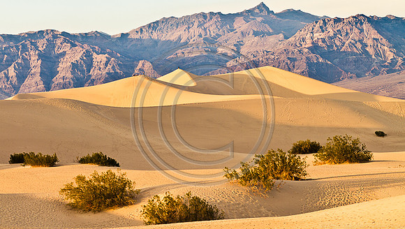 Stovepipe Wells-7843