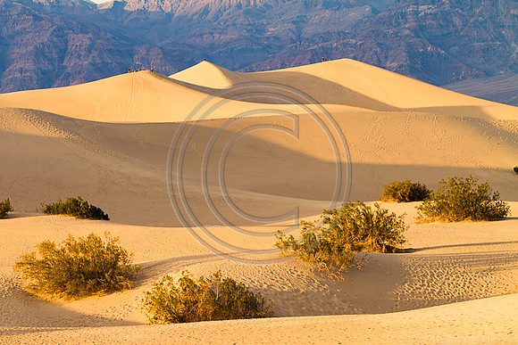 Stovepipe Wells-7831