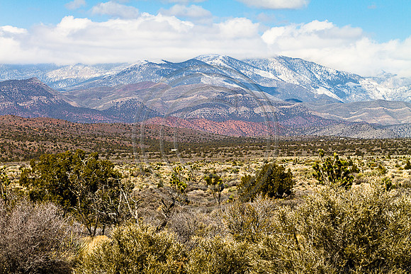 Spring Mountains - 7700