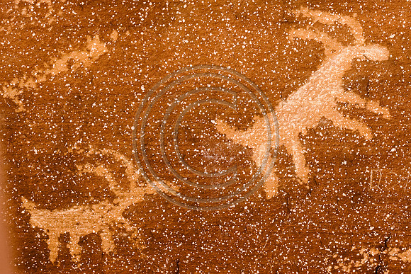 Petroglyph