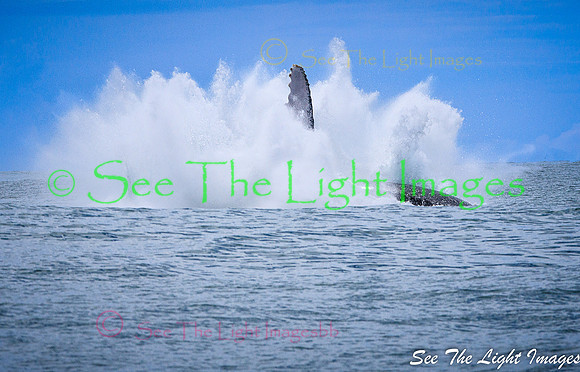 1143