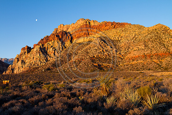 Desert Landscape 7333