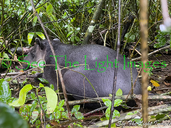2356