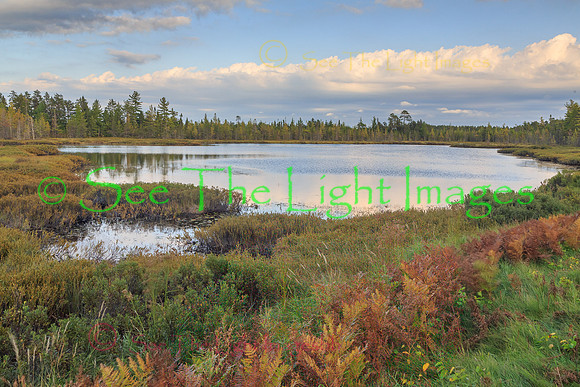 1671-HDR