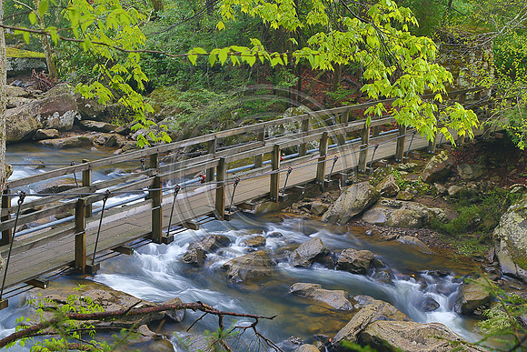West Virginia