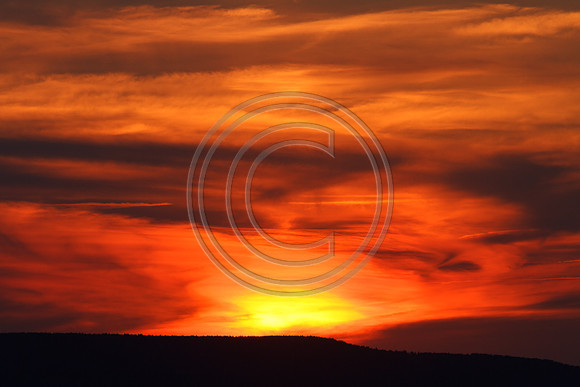©-8562