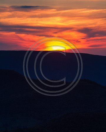 ©-8578