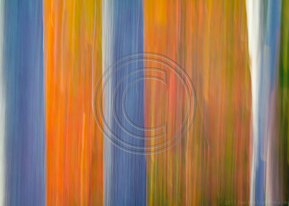 3971-Writing Straight with Crooked Lines