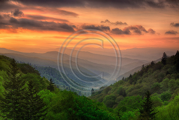 IMG_3211_HDR