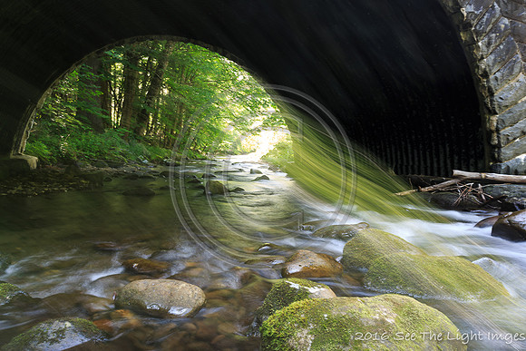GSMNP16-2528