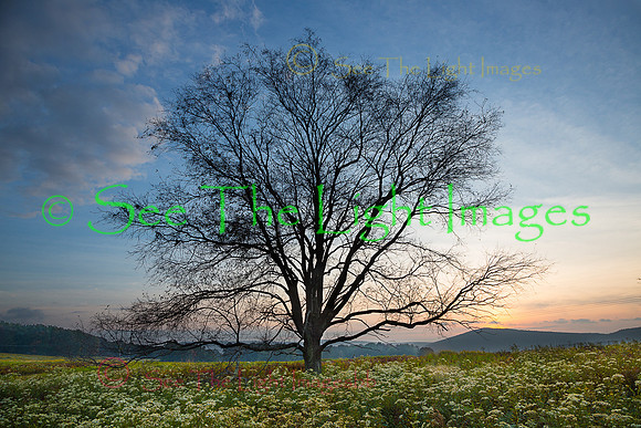 ©-