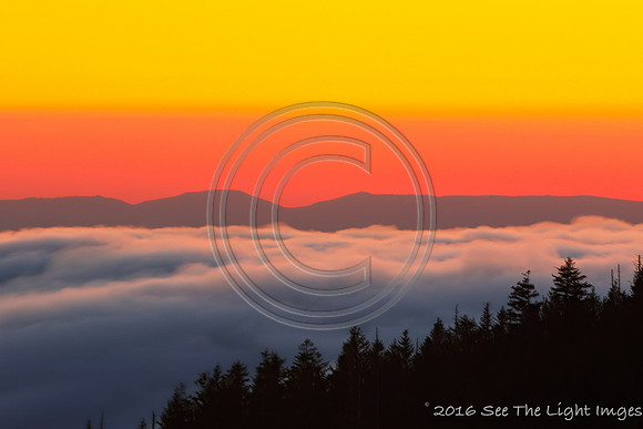 GSMNP16-2329