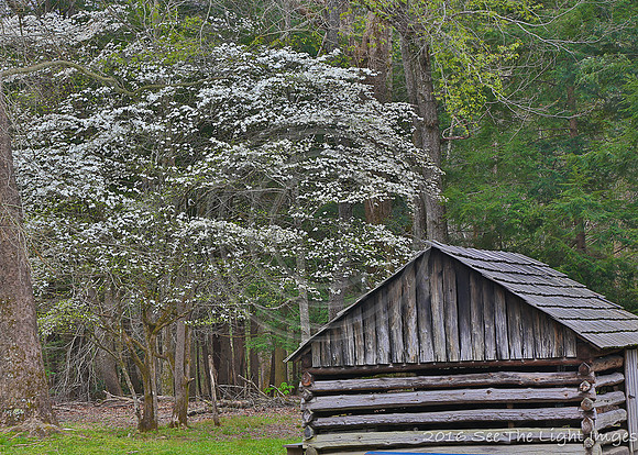 GSMNP16-0762