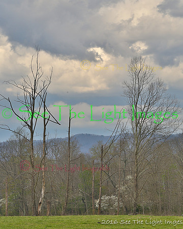GSMNP16-1265