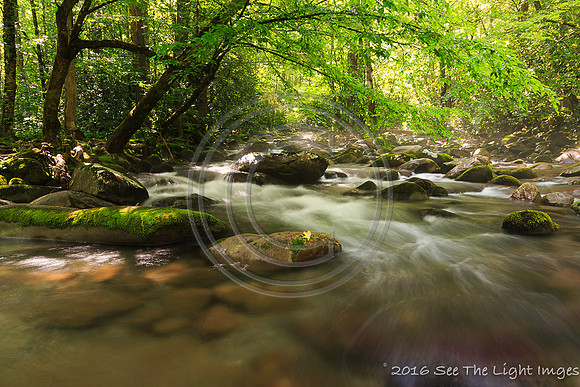 GSMNP16-3032