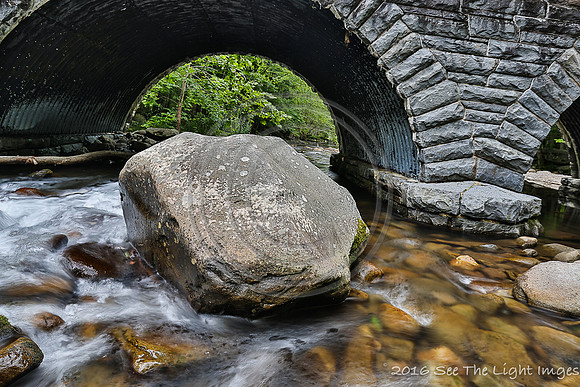 GSMNP16-2591