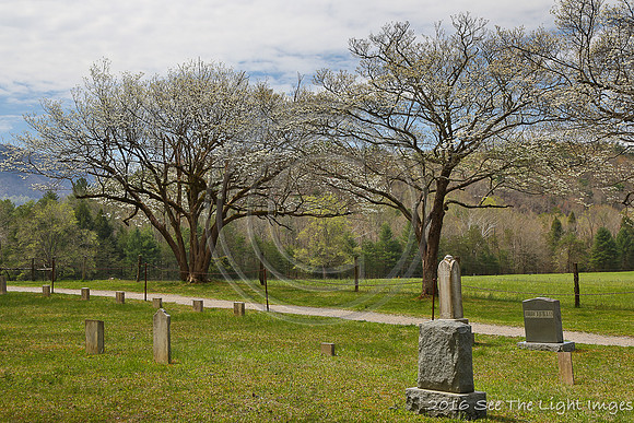 GSMNP16-1000