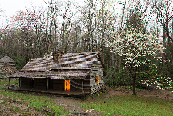 GSMNP16-9982