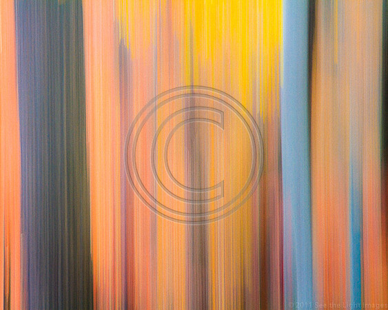 4111-Writing Straight with Crooked Lines