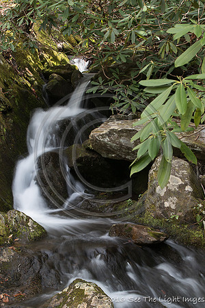 GSMNP16-3786