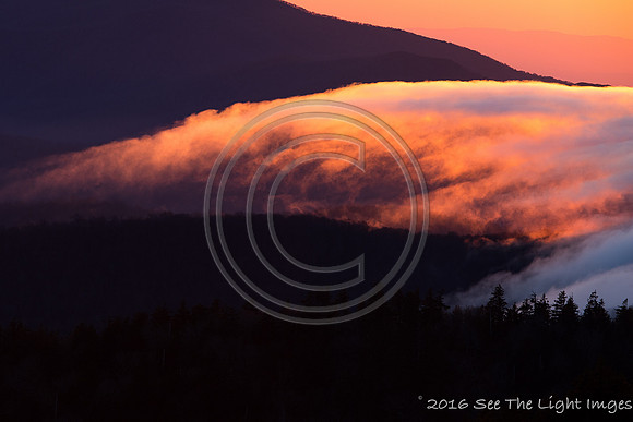 GSMNP16-2275