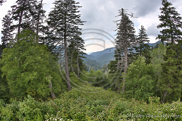 GSMNP16-2400