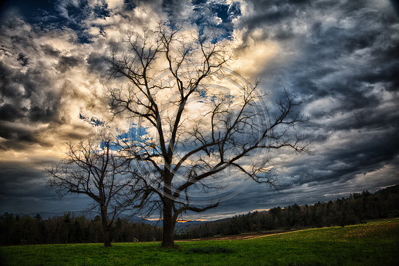 Cades Cove Storm-1377-H