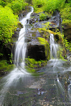 GSMNP16-3287