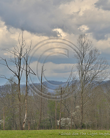 GSMNP16-1265