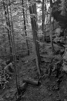 Hocking Hills Region of Ohio
