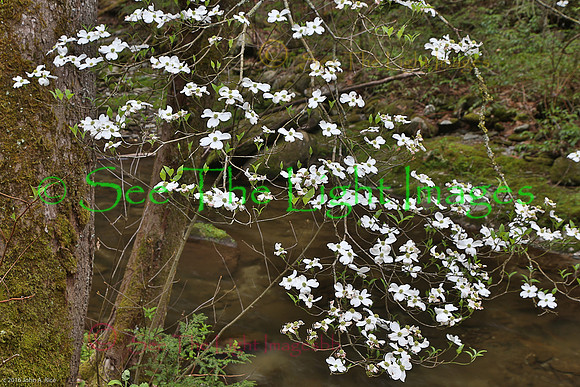 GSMNP16-0412