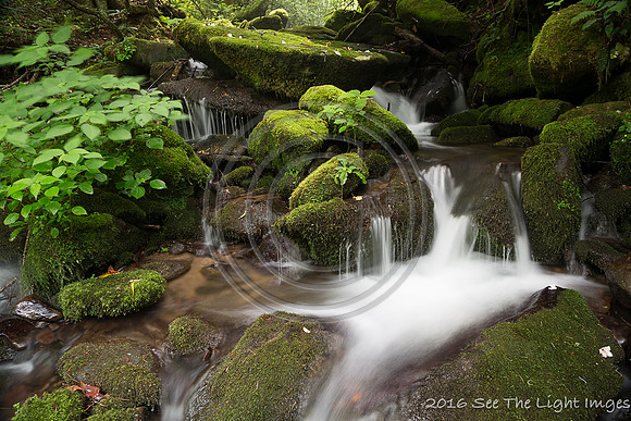 GSMNP16-2248