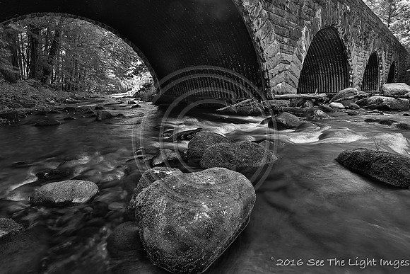 GSMNP16-2535
