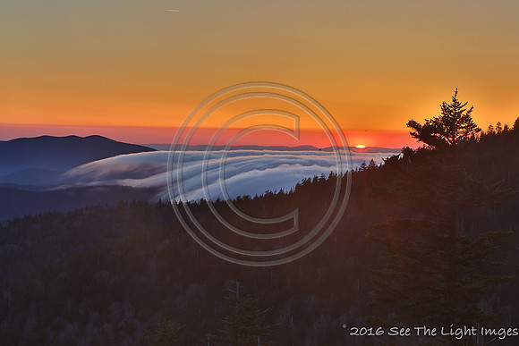 GSMNP16-0284