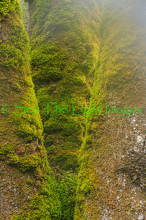 GSMNP16-0179