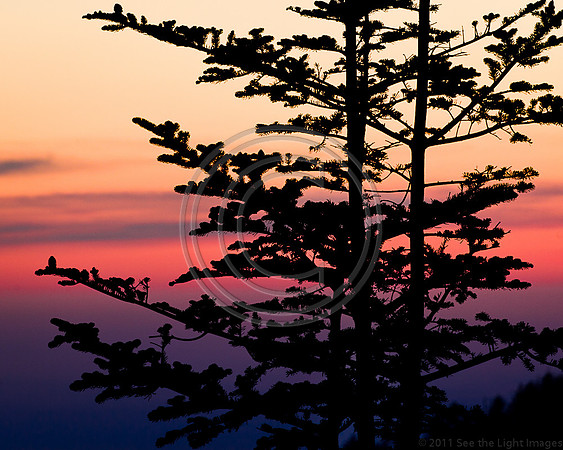 Smoky Mountain Sunset