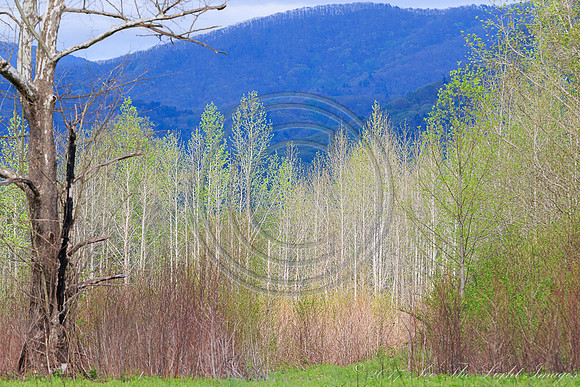 ©-0569-Preston County
