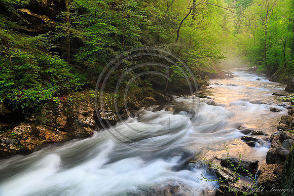 ©-4060